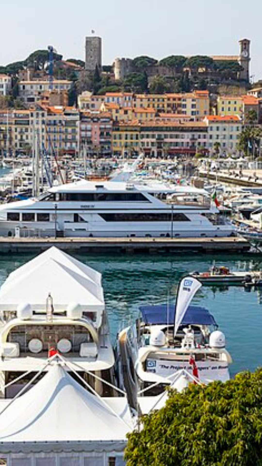 Cannes harbour