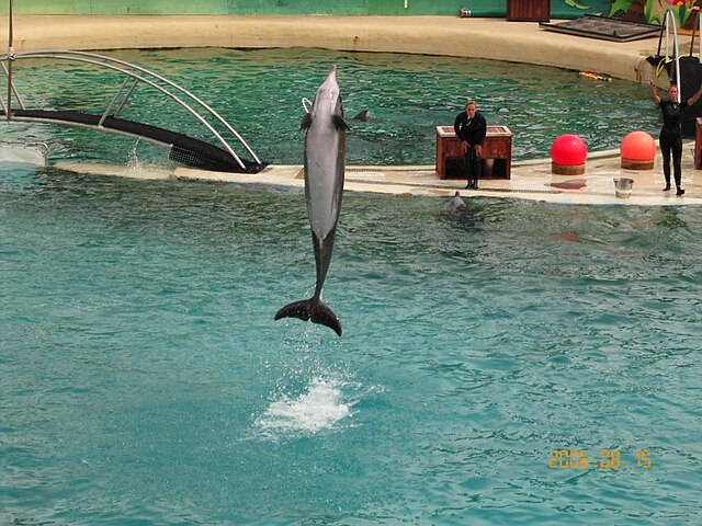 Marineland Antibes