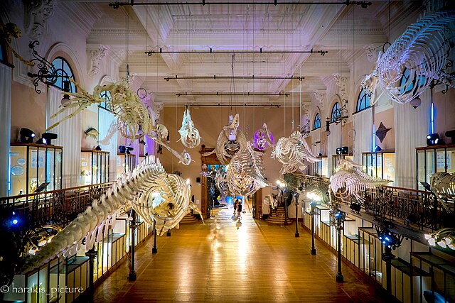 Musée Océanographique Monaco